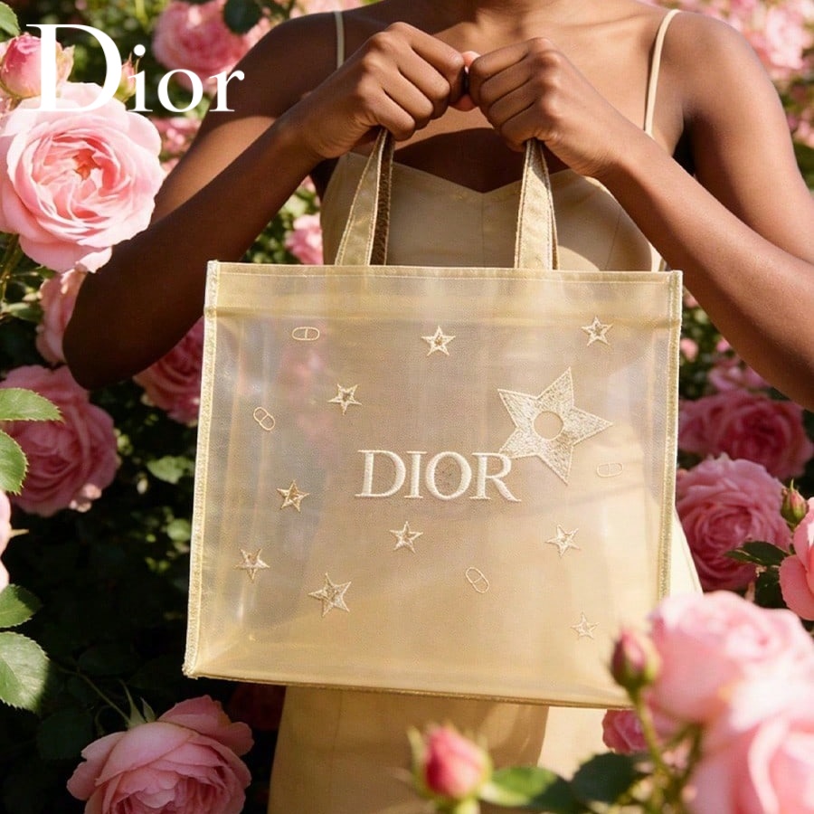 Luxury Skincare Brand - クリスチャン・ディオール ディオールのバッグ 高級ゴールデンメッシュ多目的ハンドバッグ 刺繍入りスター＆ブランドロゴ エレガントな高級化粧品バッグ F